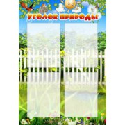 Уголок природы