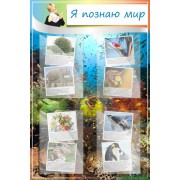 Стенд "Я познаю мир"
