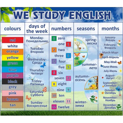 Стенд "We study english"