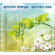 Стенд "Берегите природу - берегите себя"