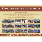 Стенд "Спортивная жизнь школы"